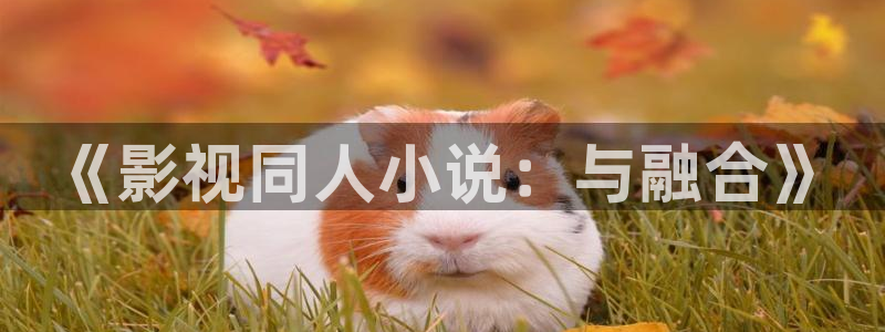 兔兔达达兔影视免费：《影视同人小说：与融合》