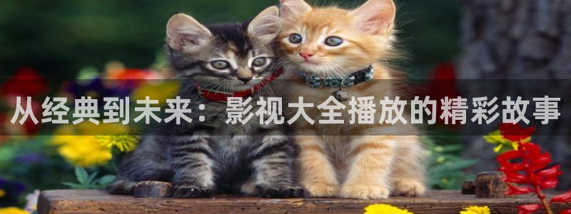 达达兔影院达达兔影视