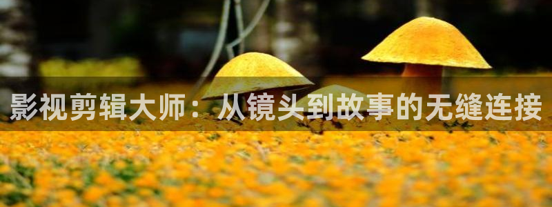 神马影院达达兔私人影院