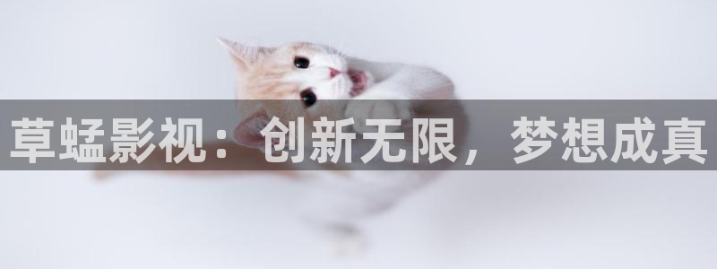 八戒影院达达兔